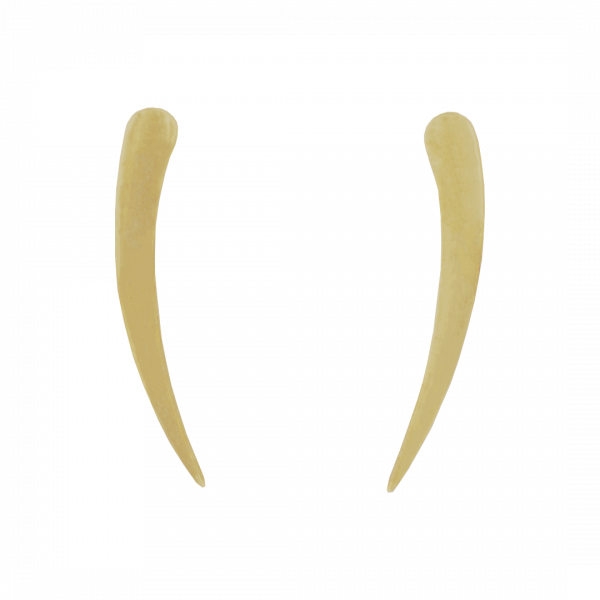 Gold Hook Slide Earrings