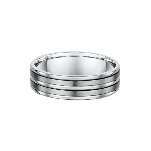 Titanium Double Inlay Wedding Ring